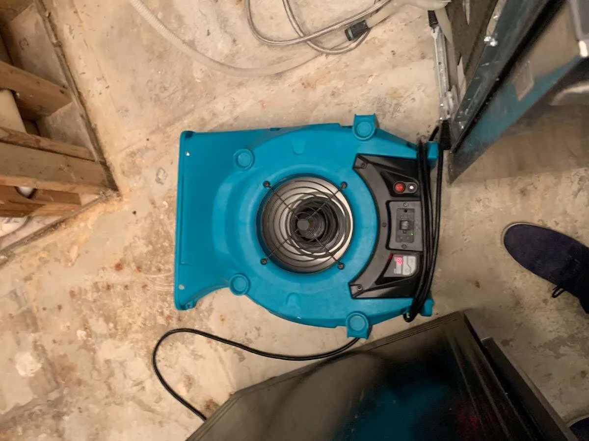 Air mover drying equipment for Mold Remediation & Removal in Ulysses